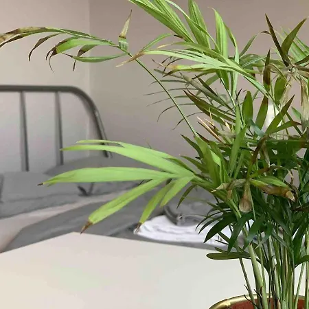 Modern In The Center Of Wroclaw! * Wroclaw